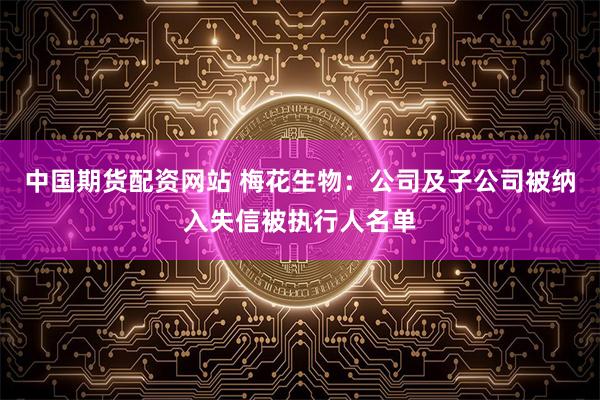 中国期货配资网站 梅花生物：公司及子公司被纳入失信被执行人名