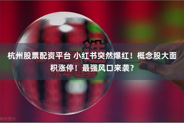 杭州股票配资平台 小红书突然爆红！概念股大面积涨停！最强风口